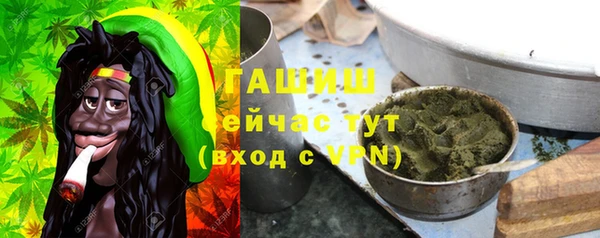 молекула духа Горно-Алтайск