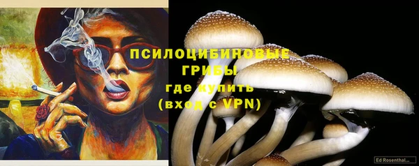 молекула духа Горно-Алтайск